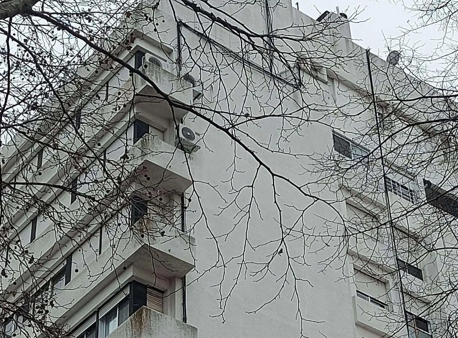 ALQUILER DEPARTAMENTO LA PLATA  2 DORM + ESTUDIO 5