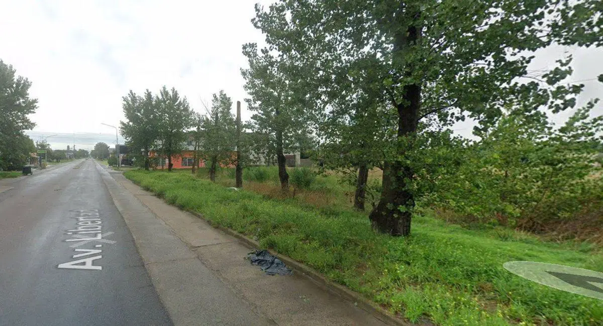 LOTES EN VENTA EN GENERAL BELGRANO 1 HECTÁREA 5