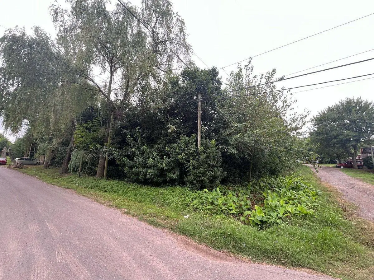 LOTE EN VENTA VILLA ELISA ENTRE CAMINOS 2