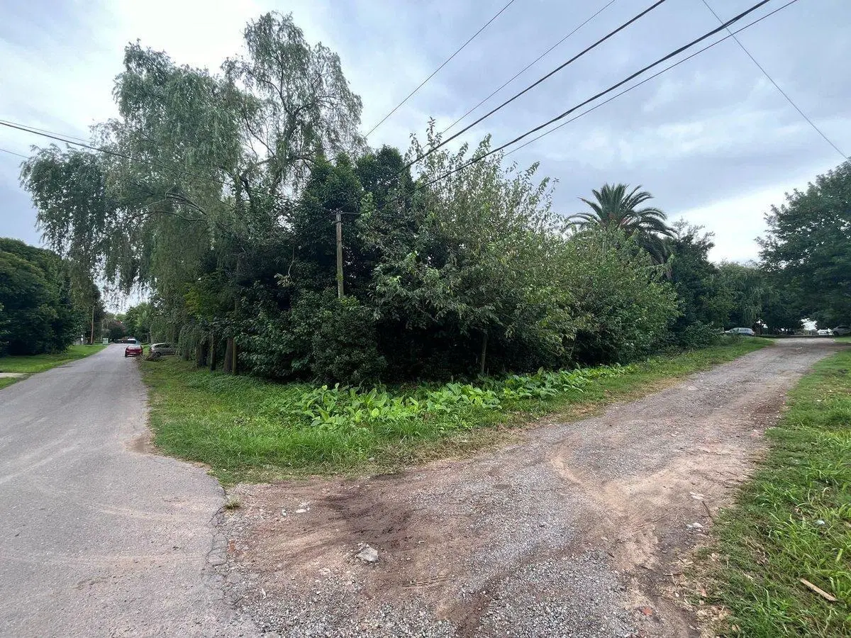 LOTE EN VENTA VILLA ELISA ENTRE CAMINOS 5