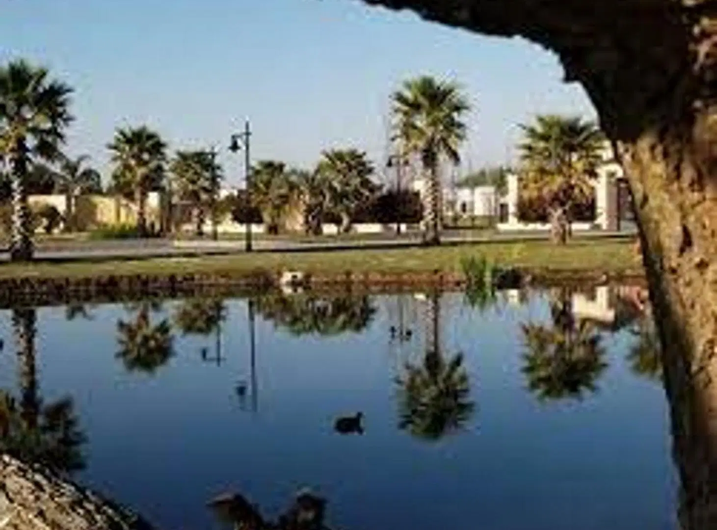 LOTE EN VENTA HARAS DEL SUR I 2