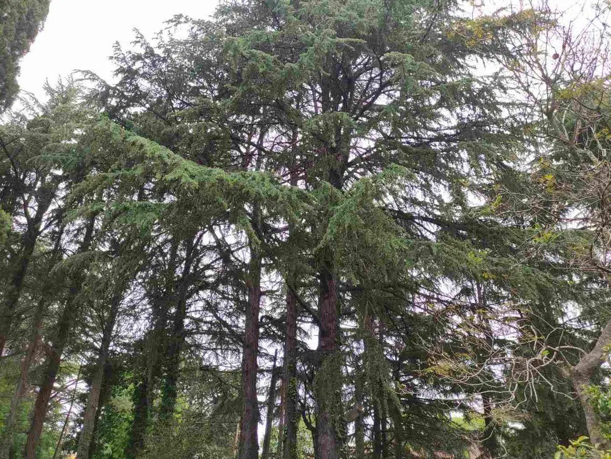 LOTES EN VENTA VILLA ELISA LA PLATA 3