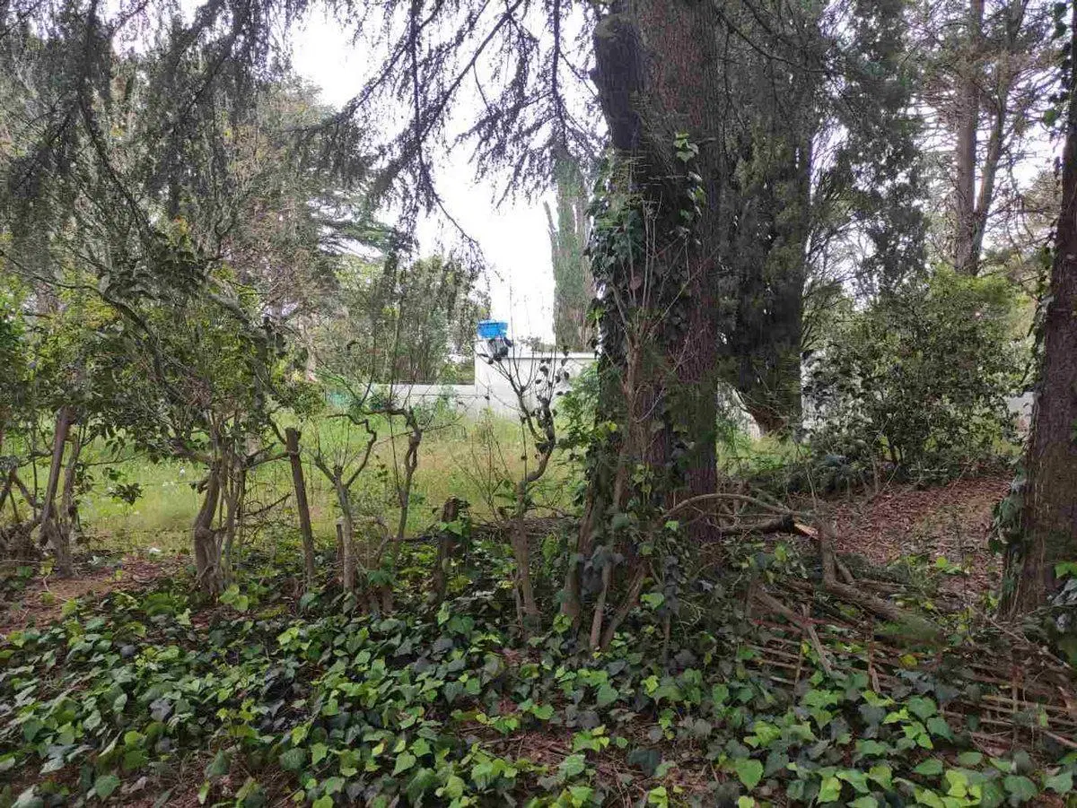 LOTES EN VENTA VILLA ELISA LA PLATA 4