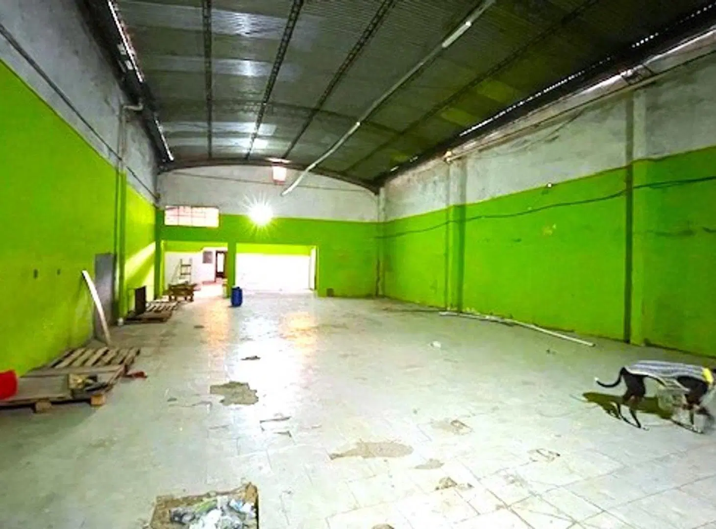 Depósito a la venta en La Plata 4