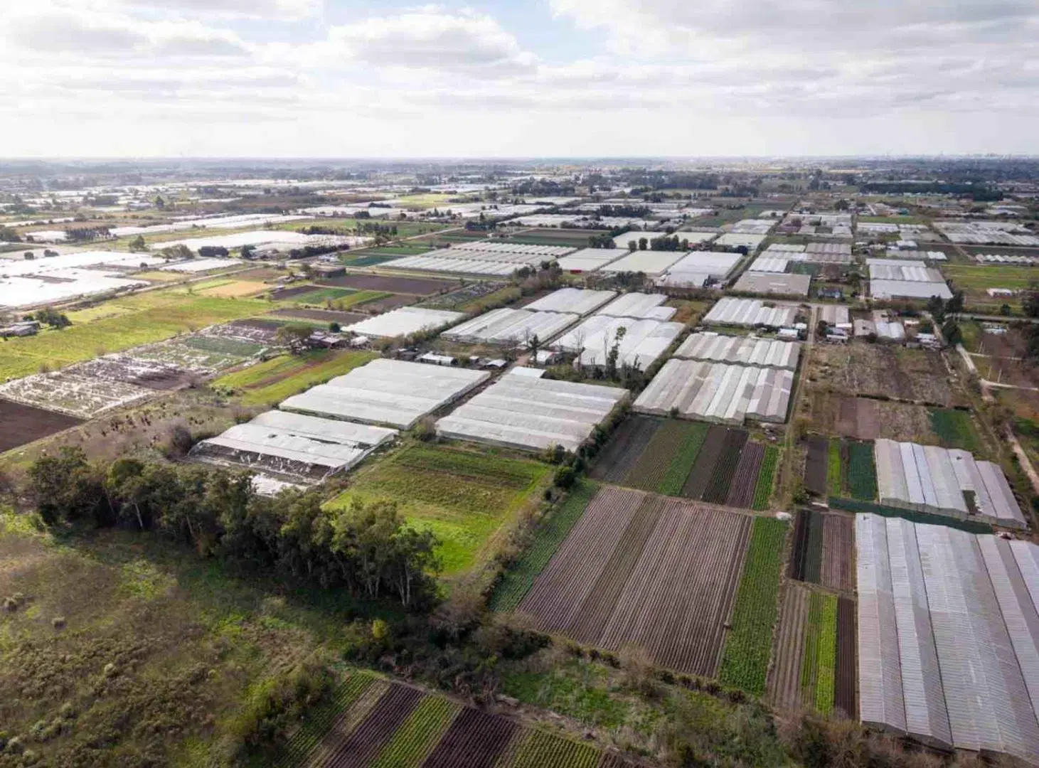 HECTAREAS EN ABASTO EN VENTA -  LA PLATA 4