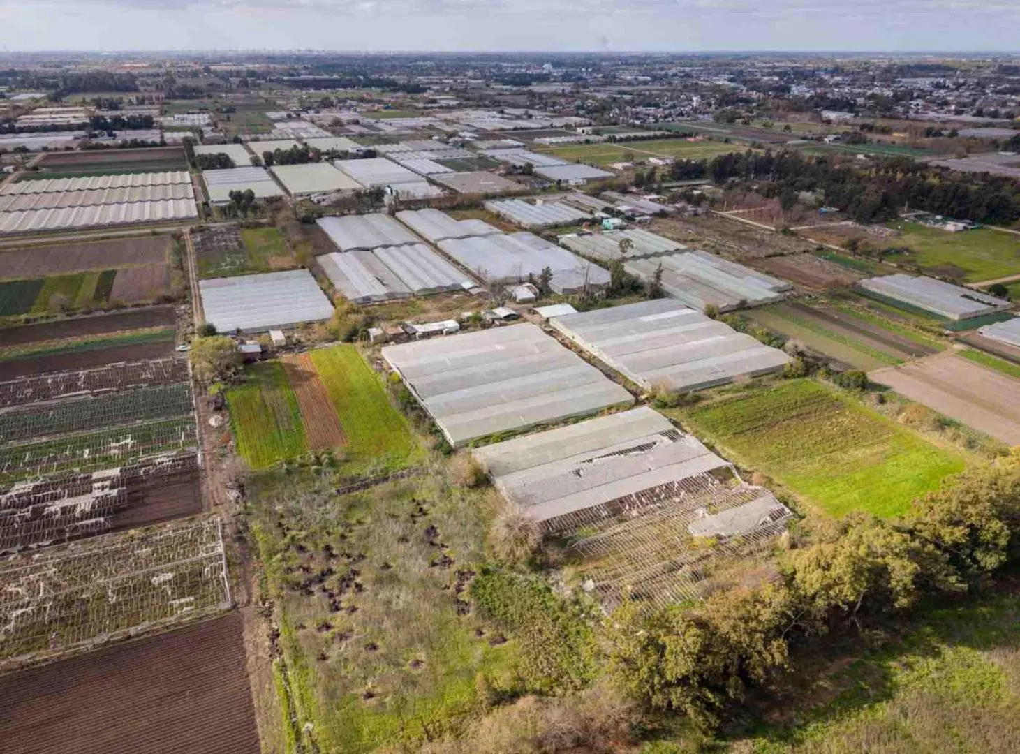 HECTAREAS EN ABASTO EN VENTA -  LA PLATA 3