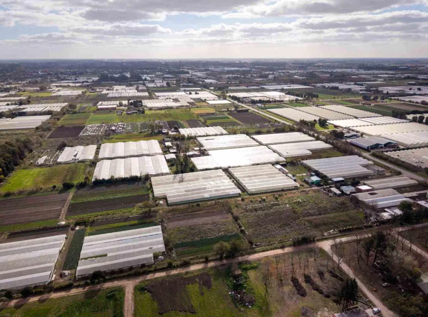HECTAREAS EN ABASTO EN VENTA -  LA PLATA 8