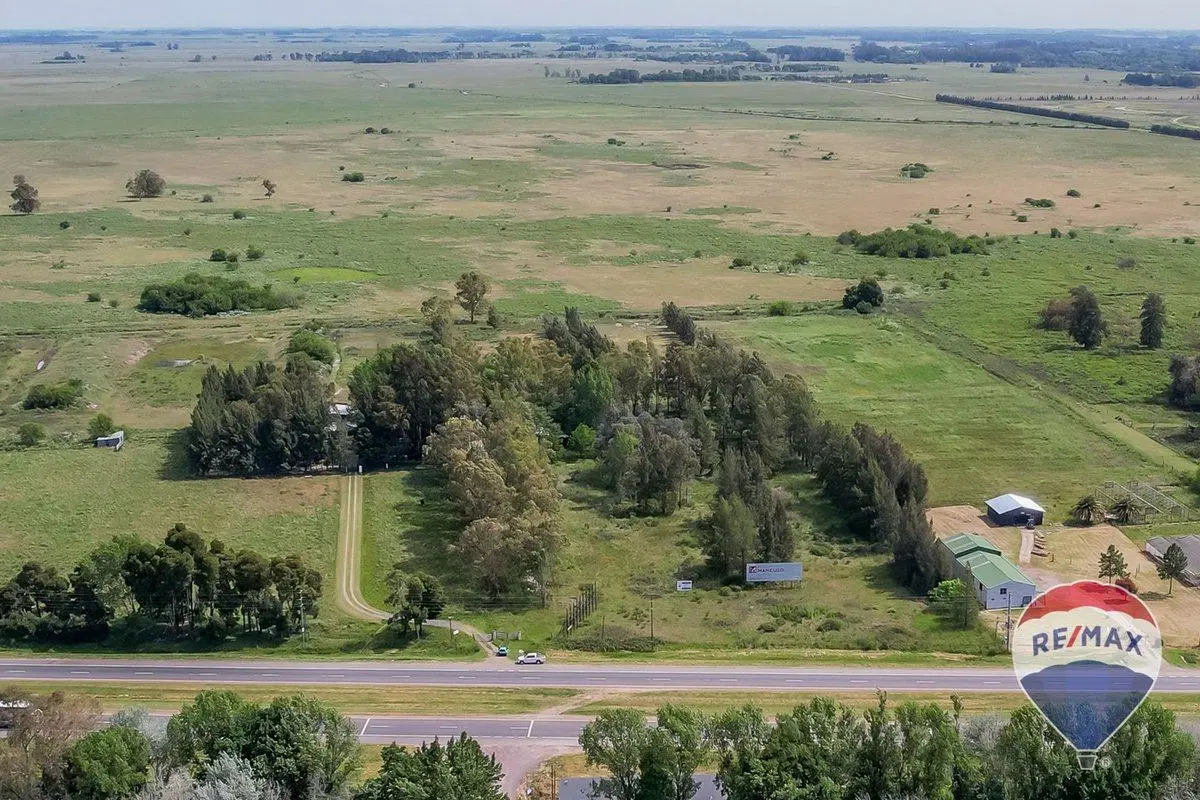 HECTAREAS EN VENTA RUTA 2 - LA PLATA 3