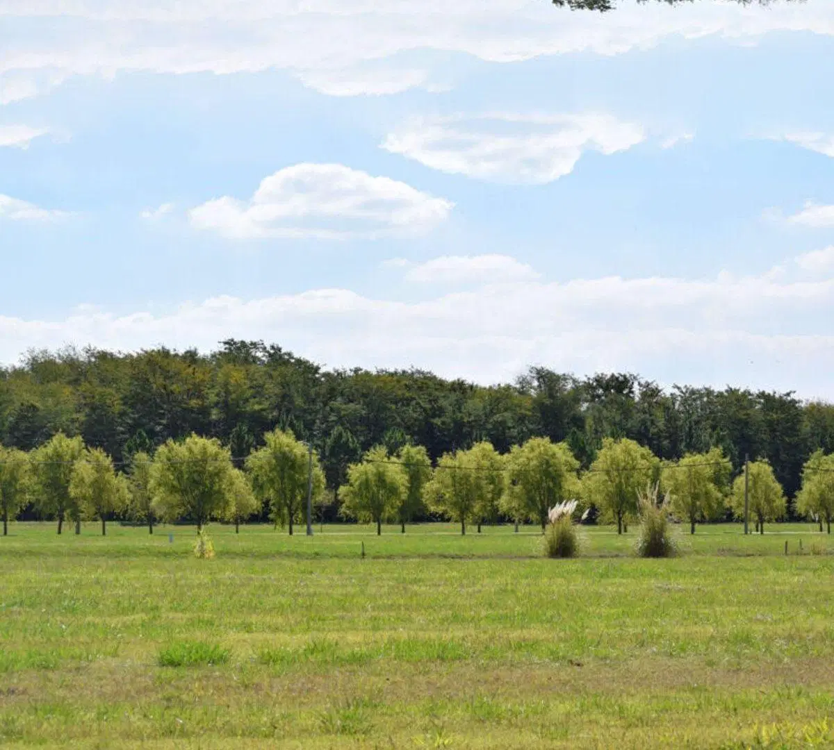 LOTE EN VENTA EN CAMPOS DE ROCA II 4
