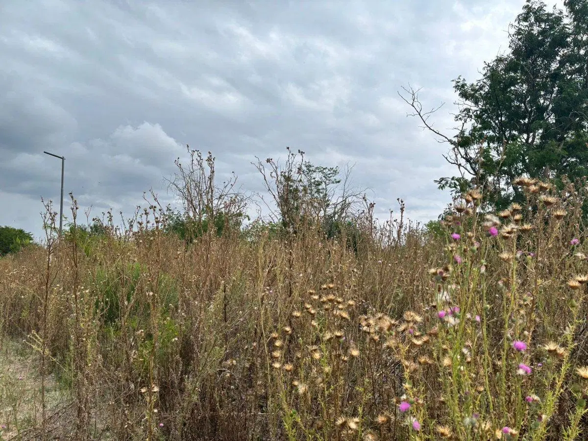 LOTE EN VENTA EN LA PLATA, ESTANCIA CHICA 5