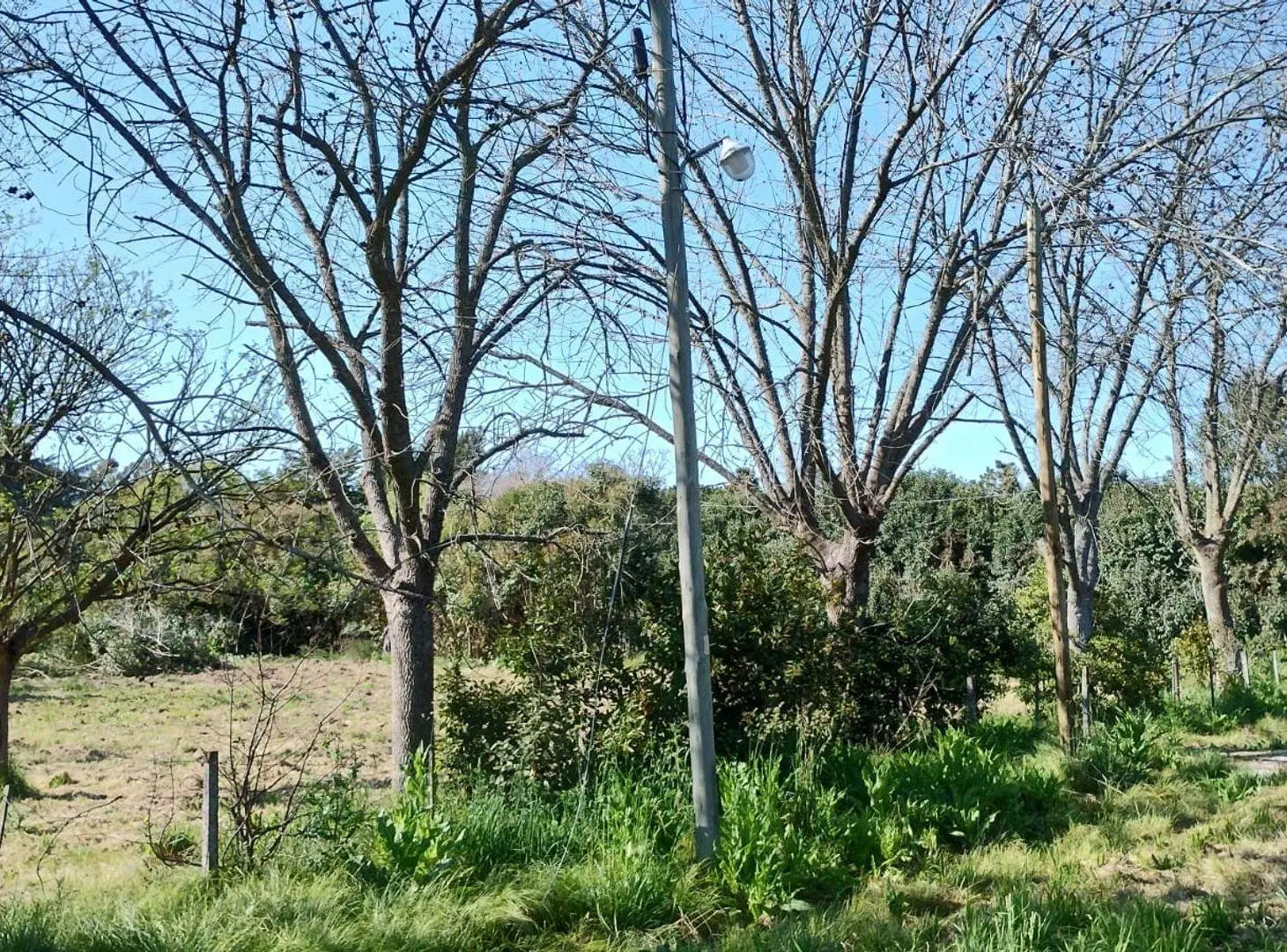 Lote a la venta en Villa Elisa 3