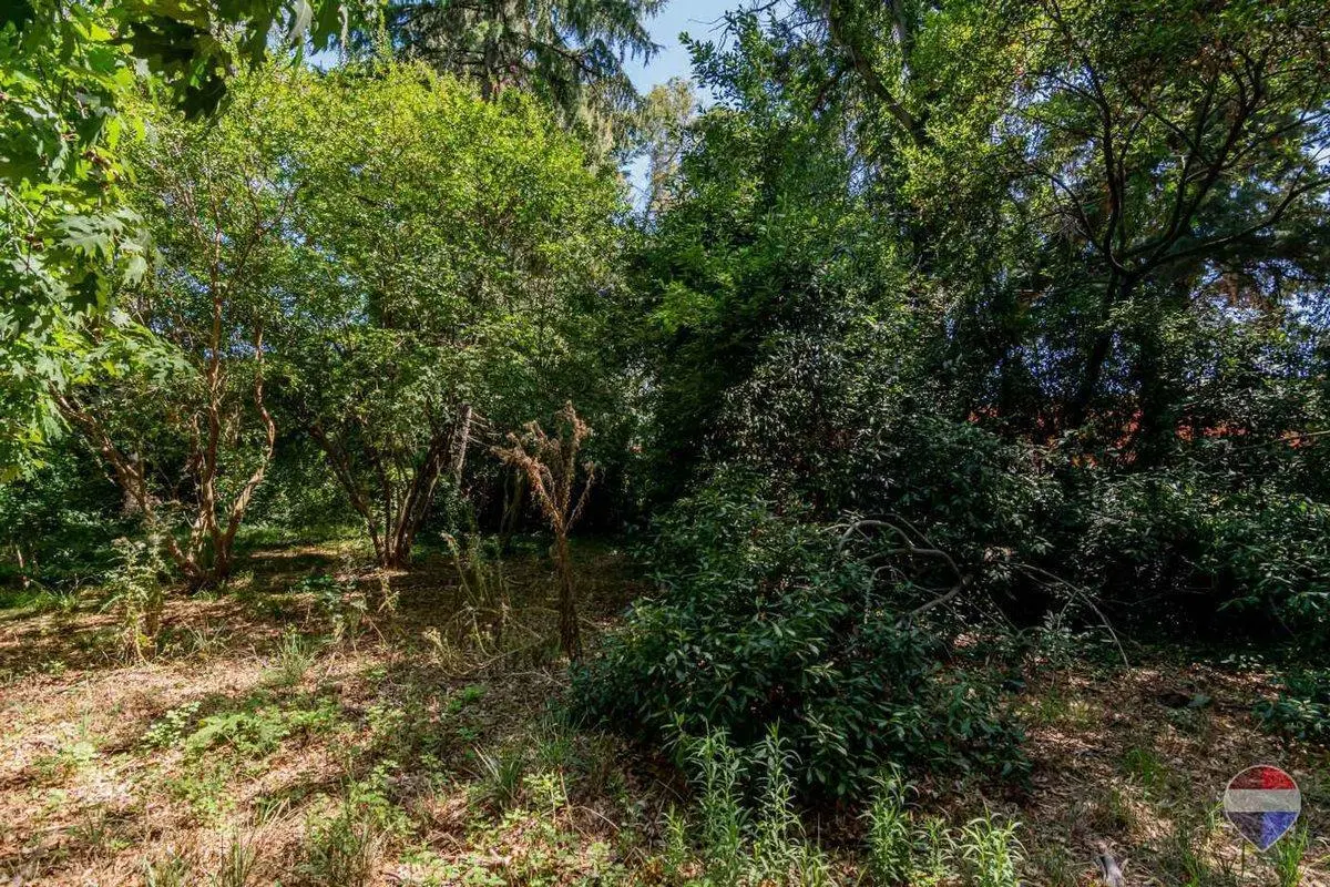 LOTE EN VENTA EN VILLA ELISA 5