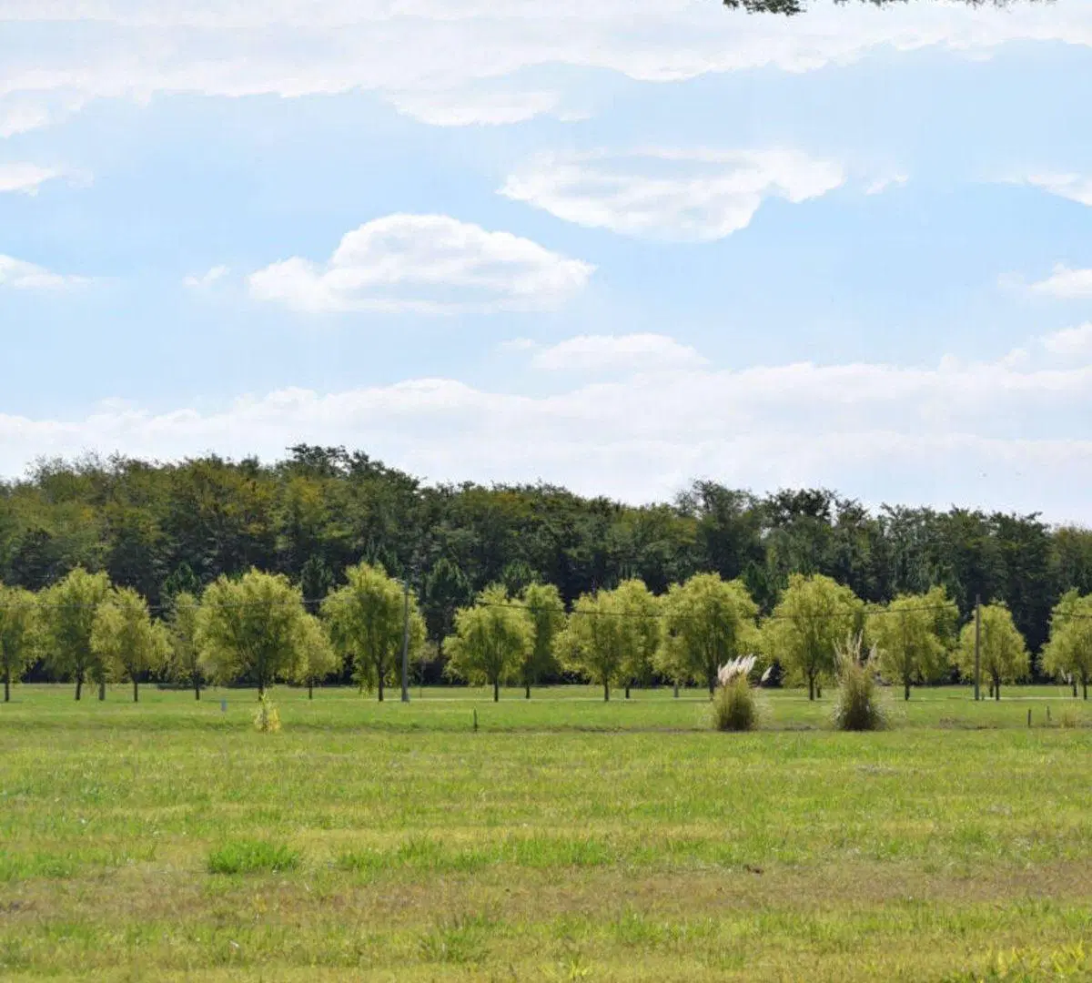 LOTE EN VENTA CAMPOS DE ROCA 2 4