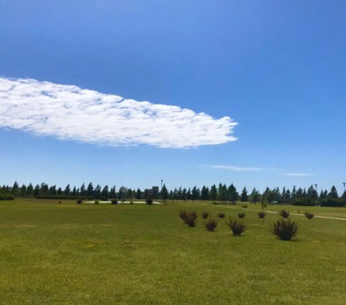 LOTE EN VENTA CAMPOS DE ROCA 2 8