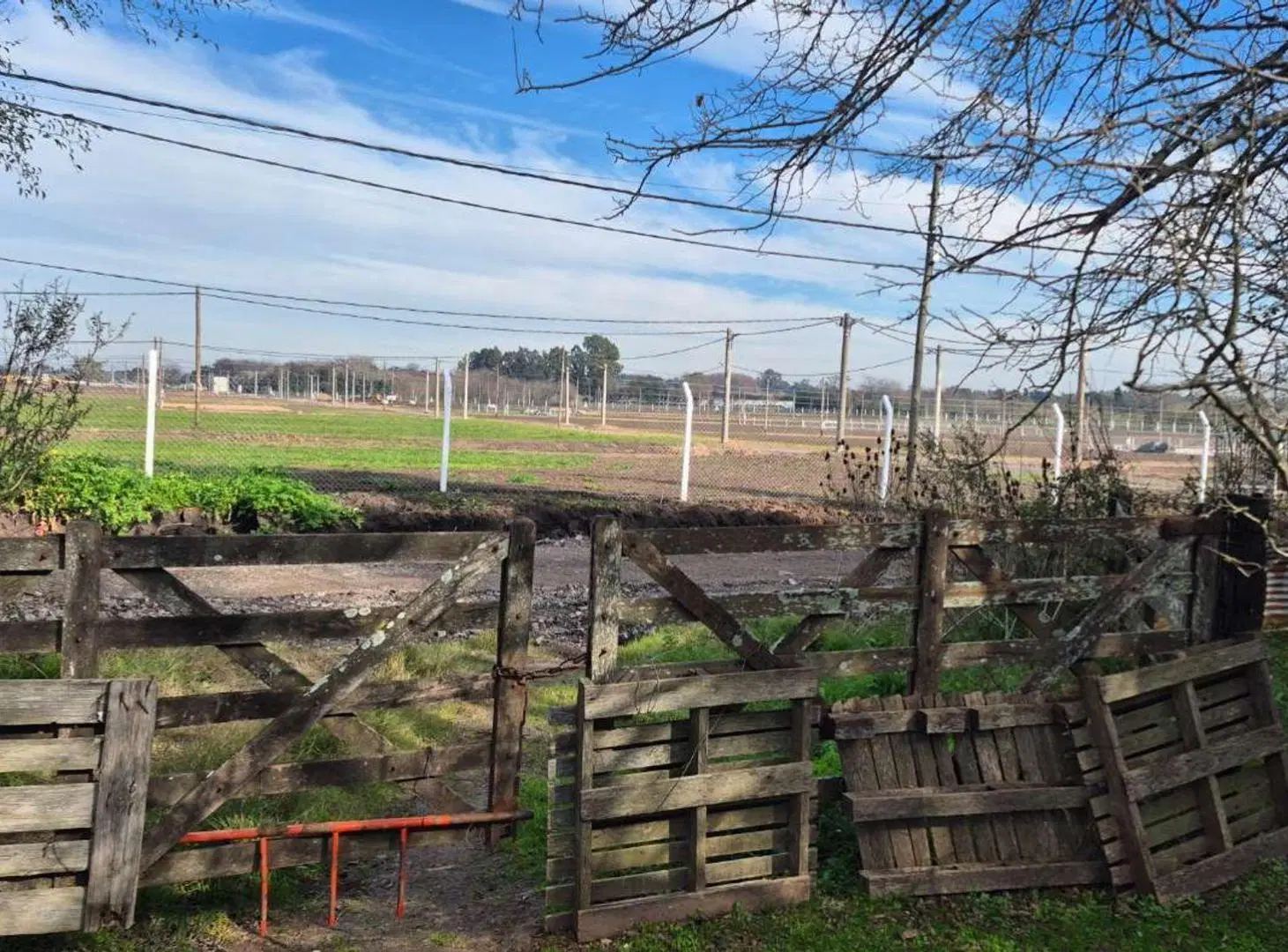 CAMPO EN VENTA LA  PLATA 4
