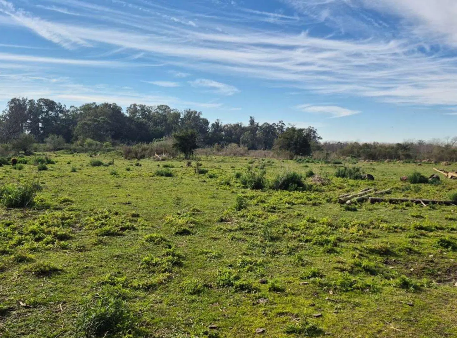 CAMPO EN VENTA LA PLATA 2