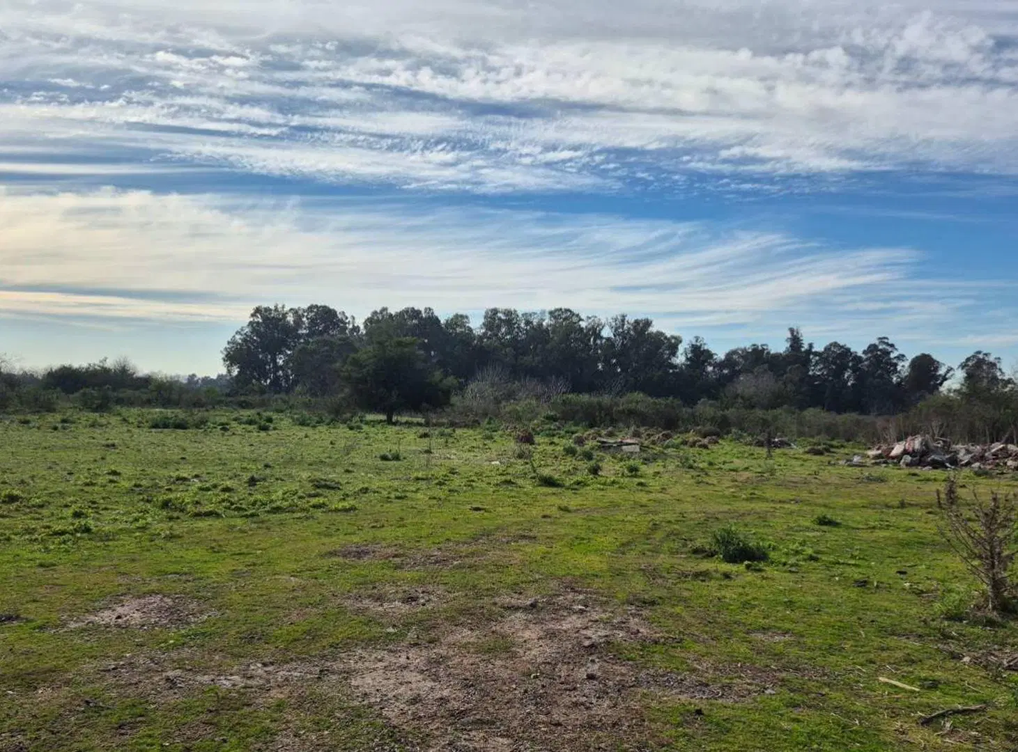 CAMPO EN VENTA LA PLATA 4
