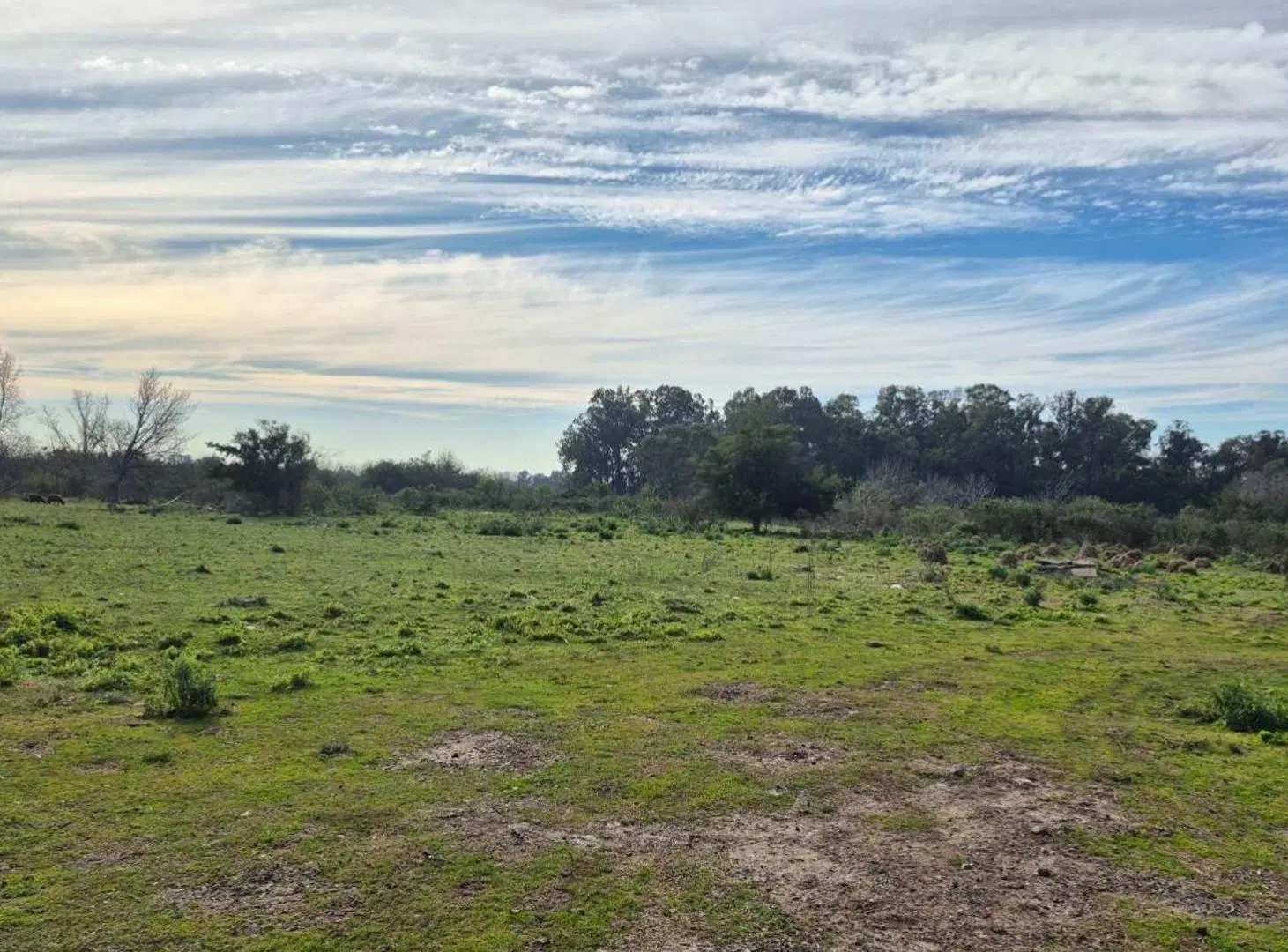 CAMPO EN VENTA LA PLATA 3