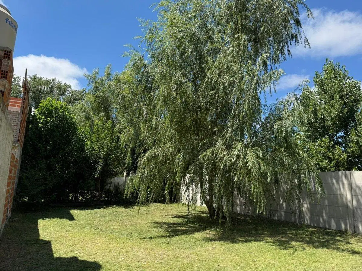 Lote en venta Abasto 2