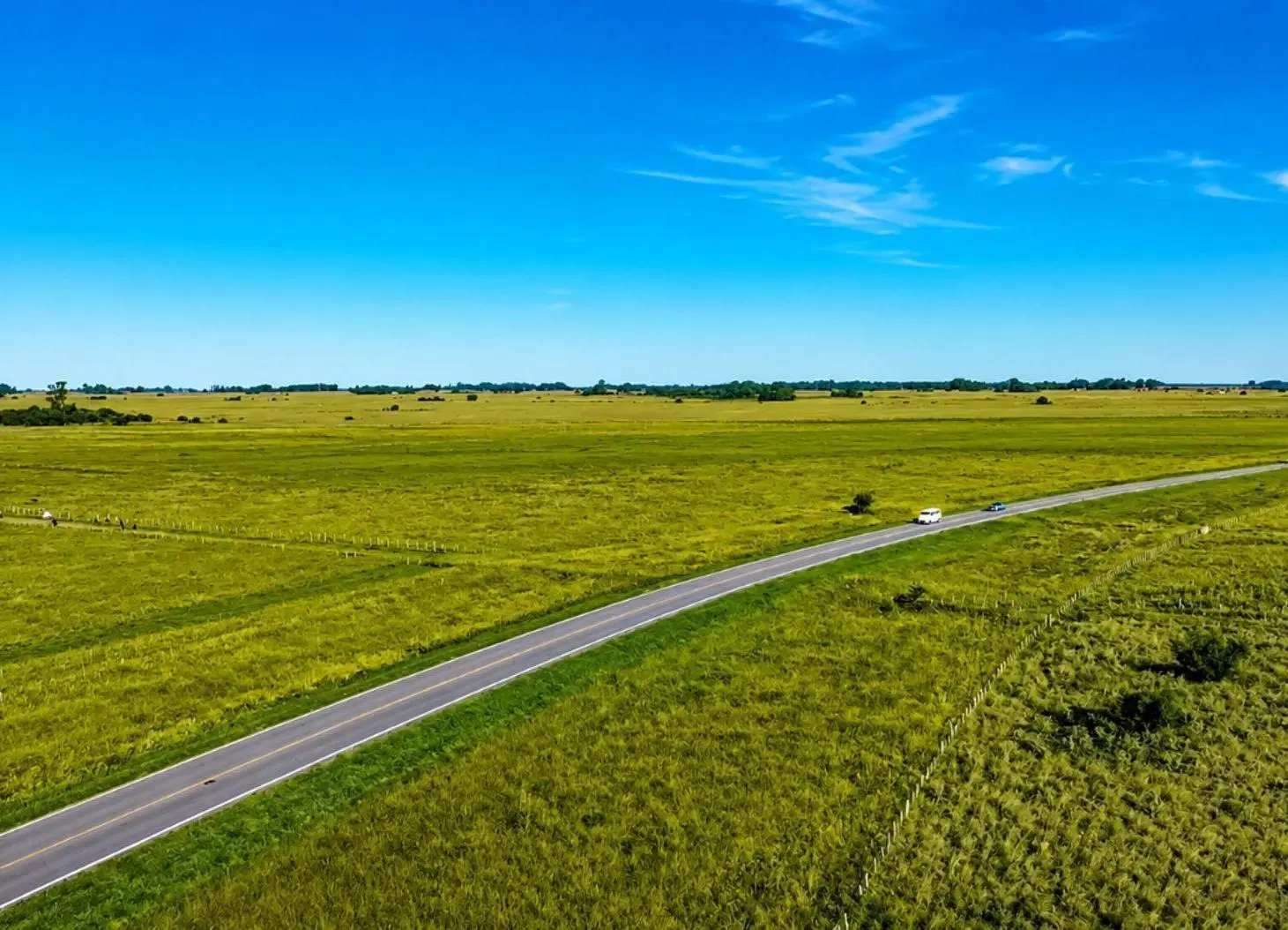 CAMPO EN VENTA.RUTA 36.KM 100. MAGDALENA.LA PLATA 8