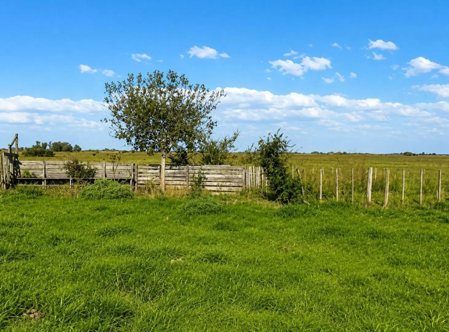 CAMPO EN VENTA.RUTA 36.KM 100. MAGDALENA.LA PLATA 4