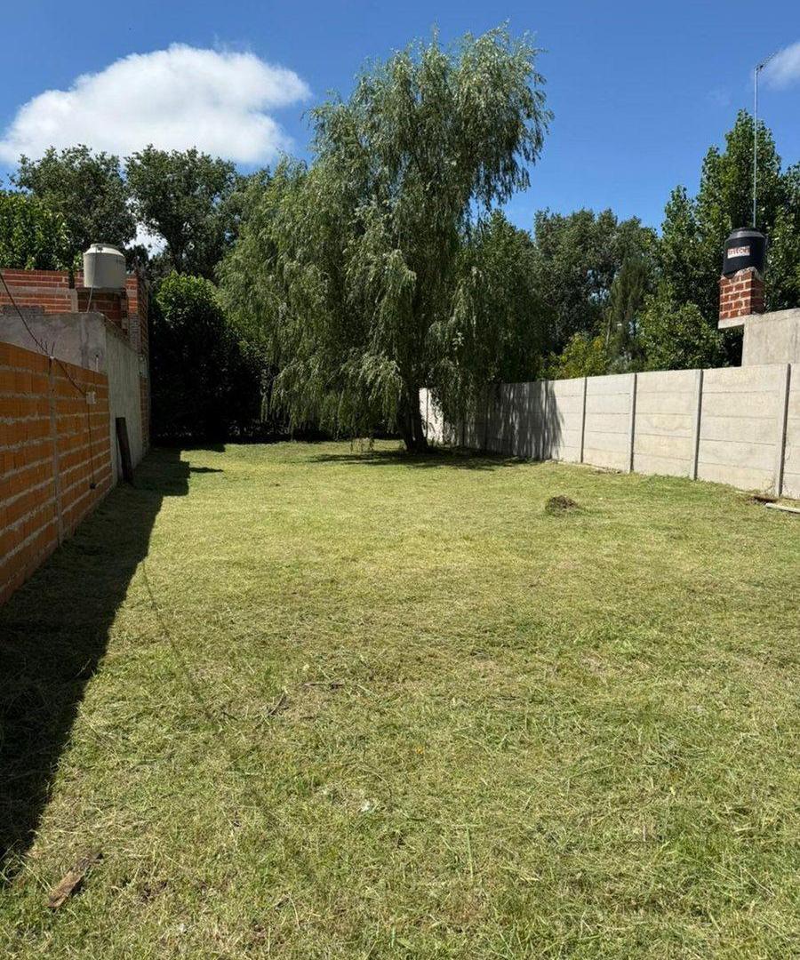 Foto de Lote en venta Abasto, imagen 3