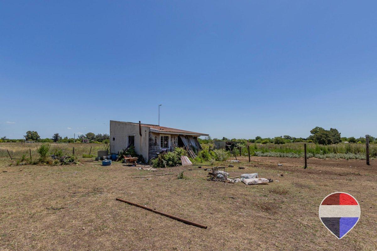 Foto de HECTAREAS EN VENTA ARTURO SEGUI LA PLATA, imagen 3