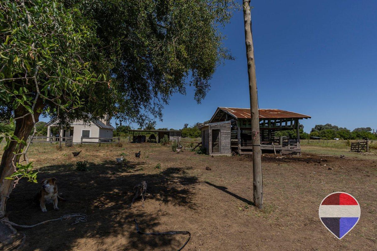 Foto de HECTAREAS EN VENTA ARTURO SEGUI LA PLATA, imagen 4