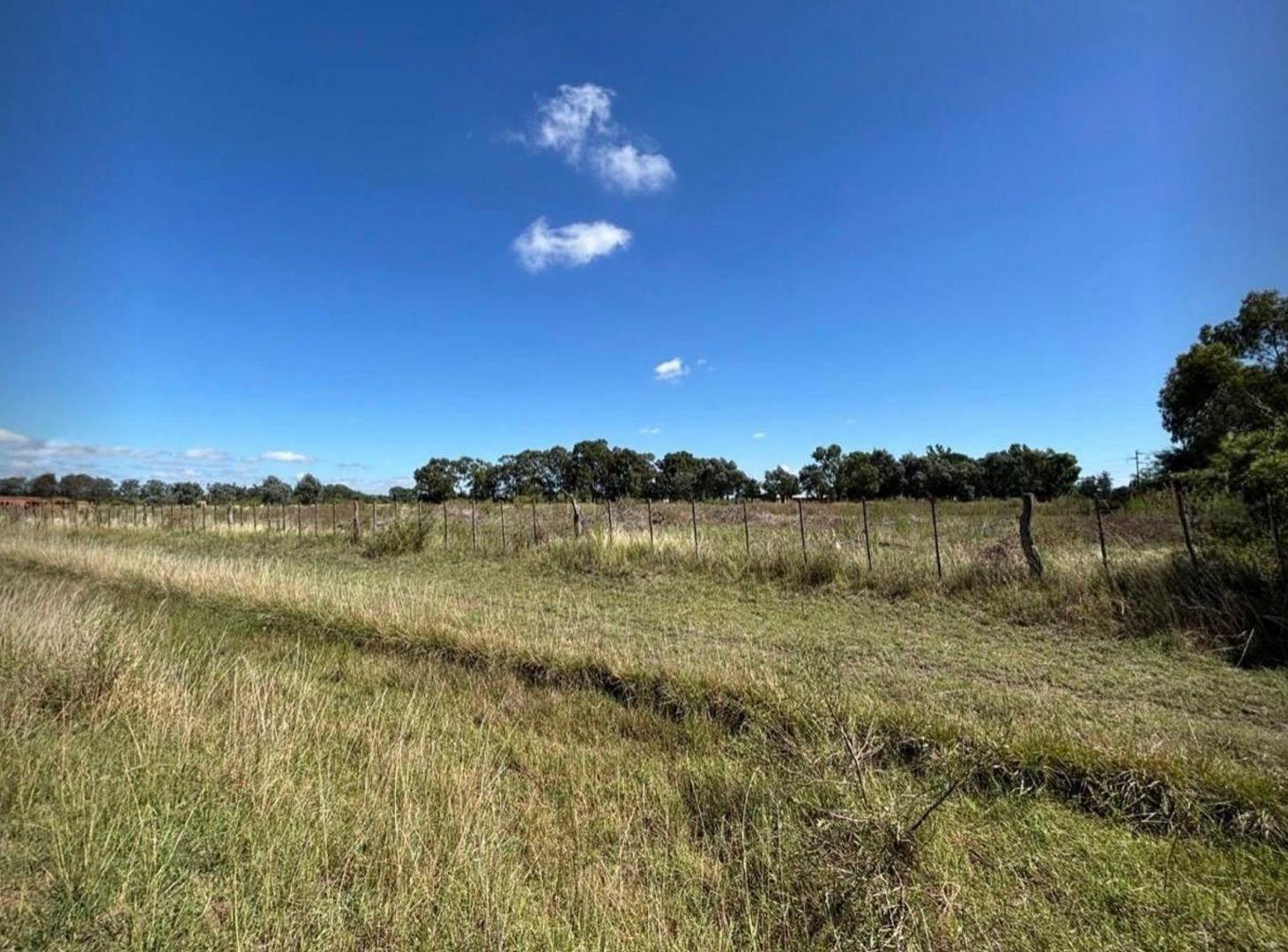 Foto de VENTA HECTAREAS EN CHASCOMUS, imagen 3