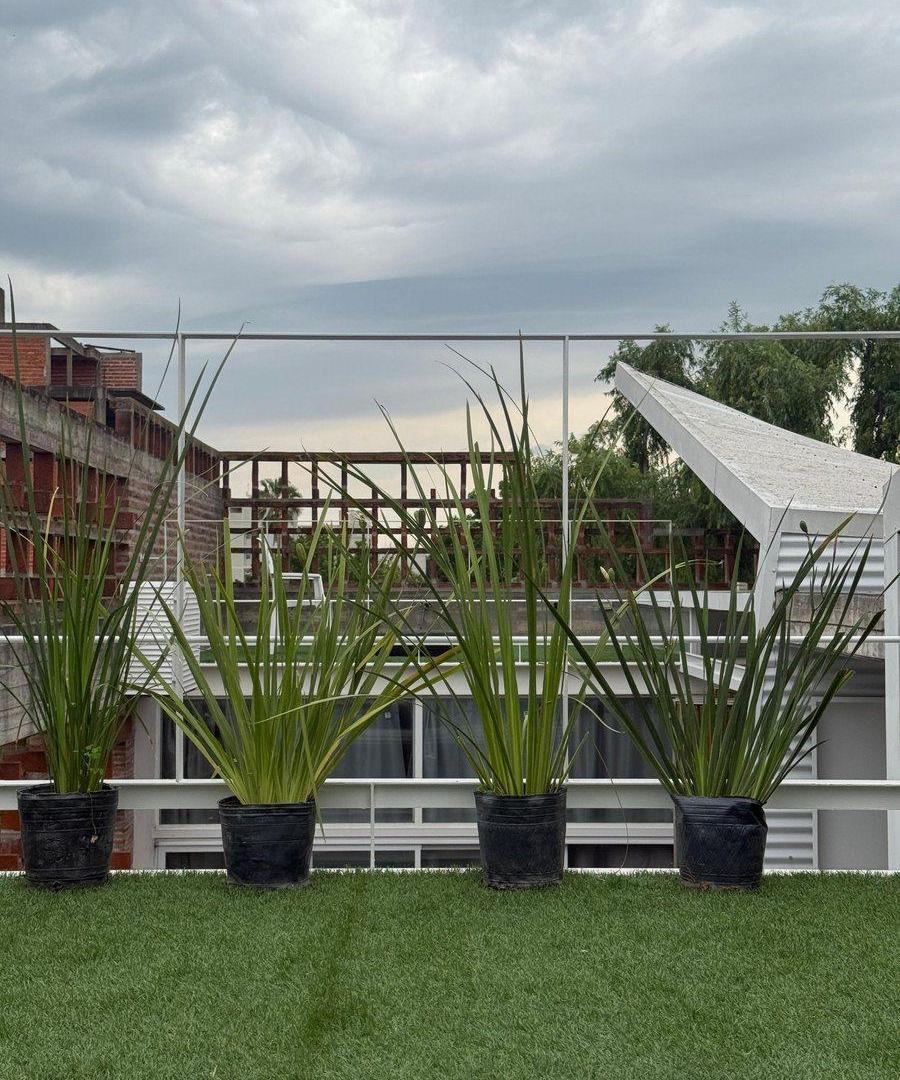 Foto de DEPARTAMENTO EN VENTA CON TERRAZA PRIVADA LA PLATA, imagen 4