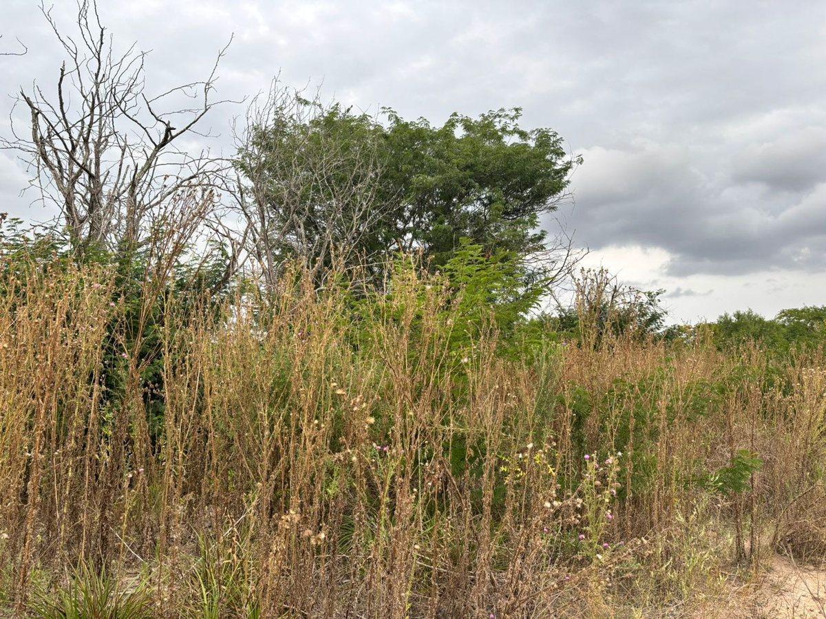 Foto de LOTE EN VENTA EN LA PLATA, ESTANCIA CHICA, imagen 4
