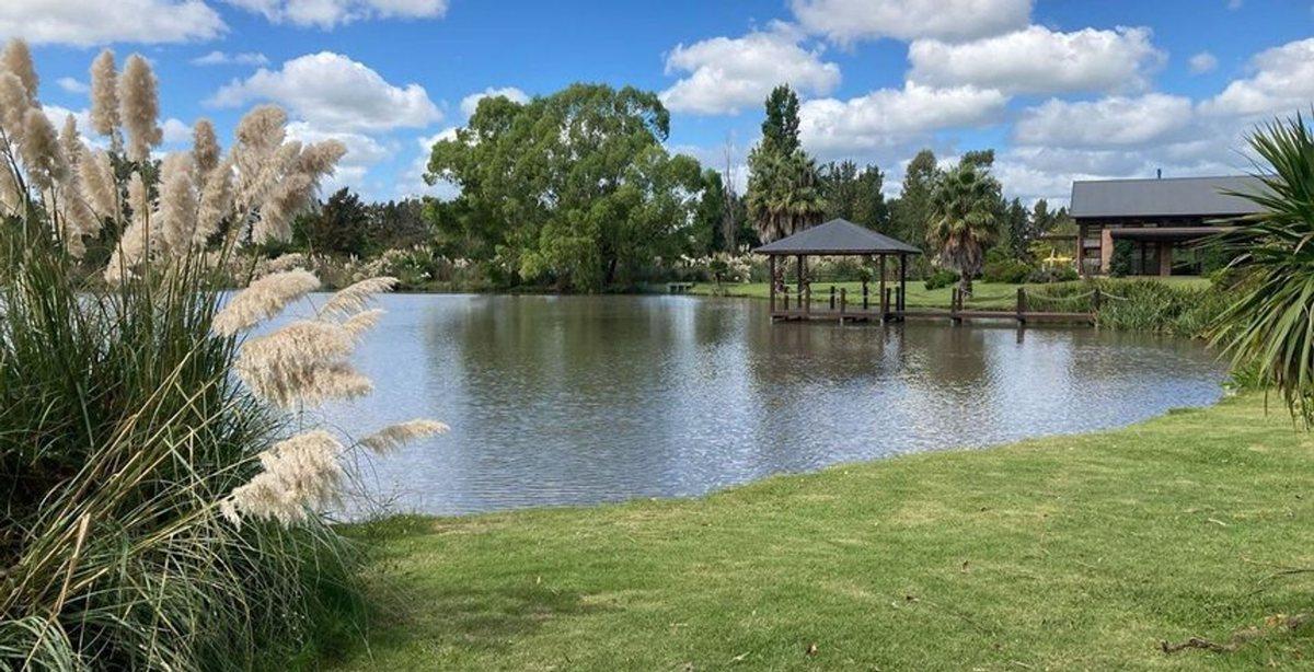Foto de LOTE VENTA POSADA DE LOS LAGOS, imagen 5