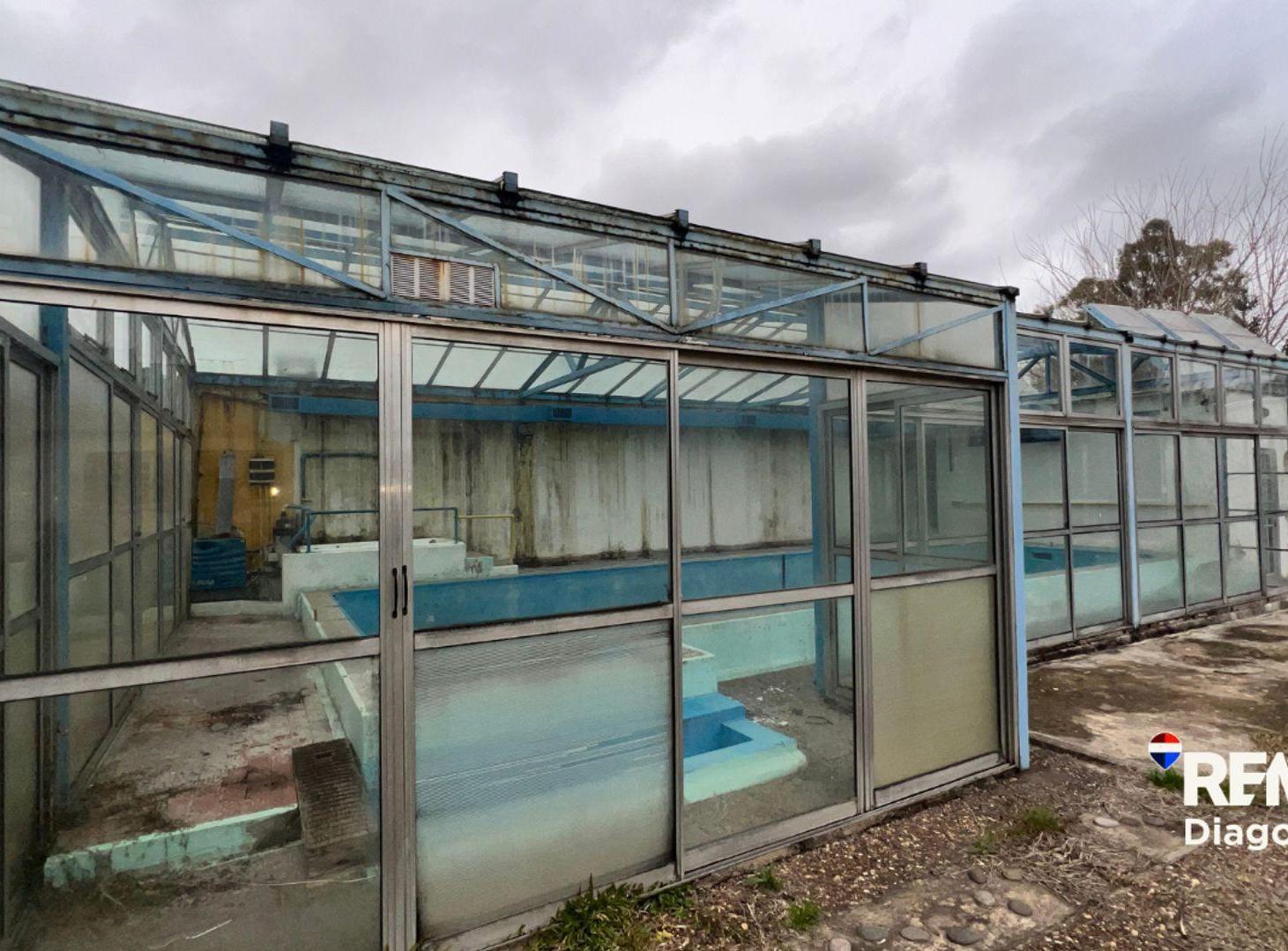 Foto de LOTE EN VENTA EN VILLA ELISA, imagen 2
