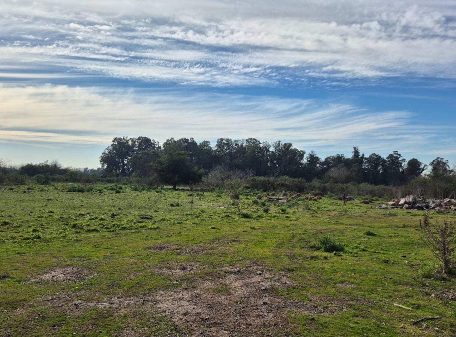 Foto de CAMPO EN VENTA LA PLATA, imagen 4