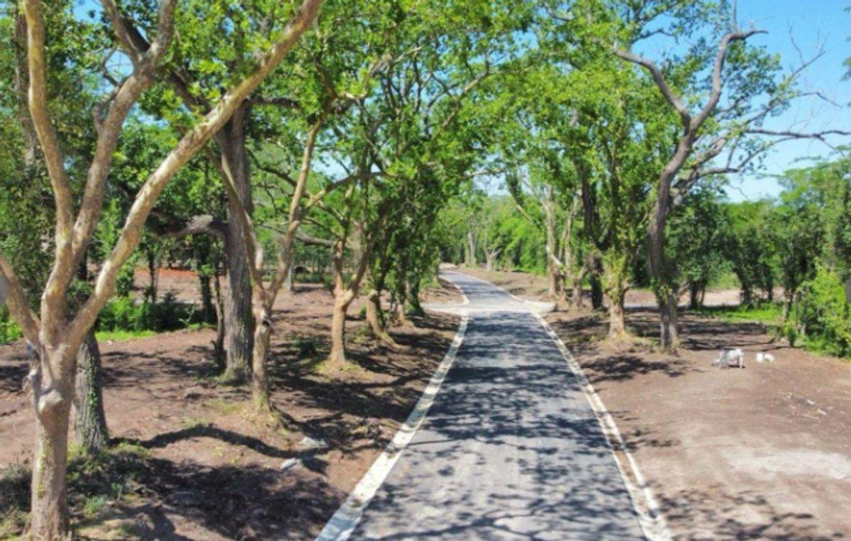 Foto de LOTE EN VENTA RESERVA FINCAS, imagen 4