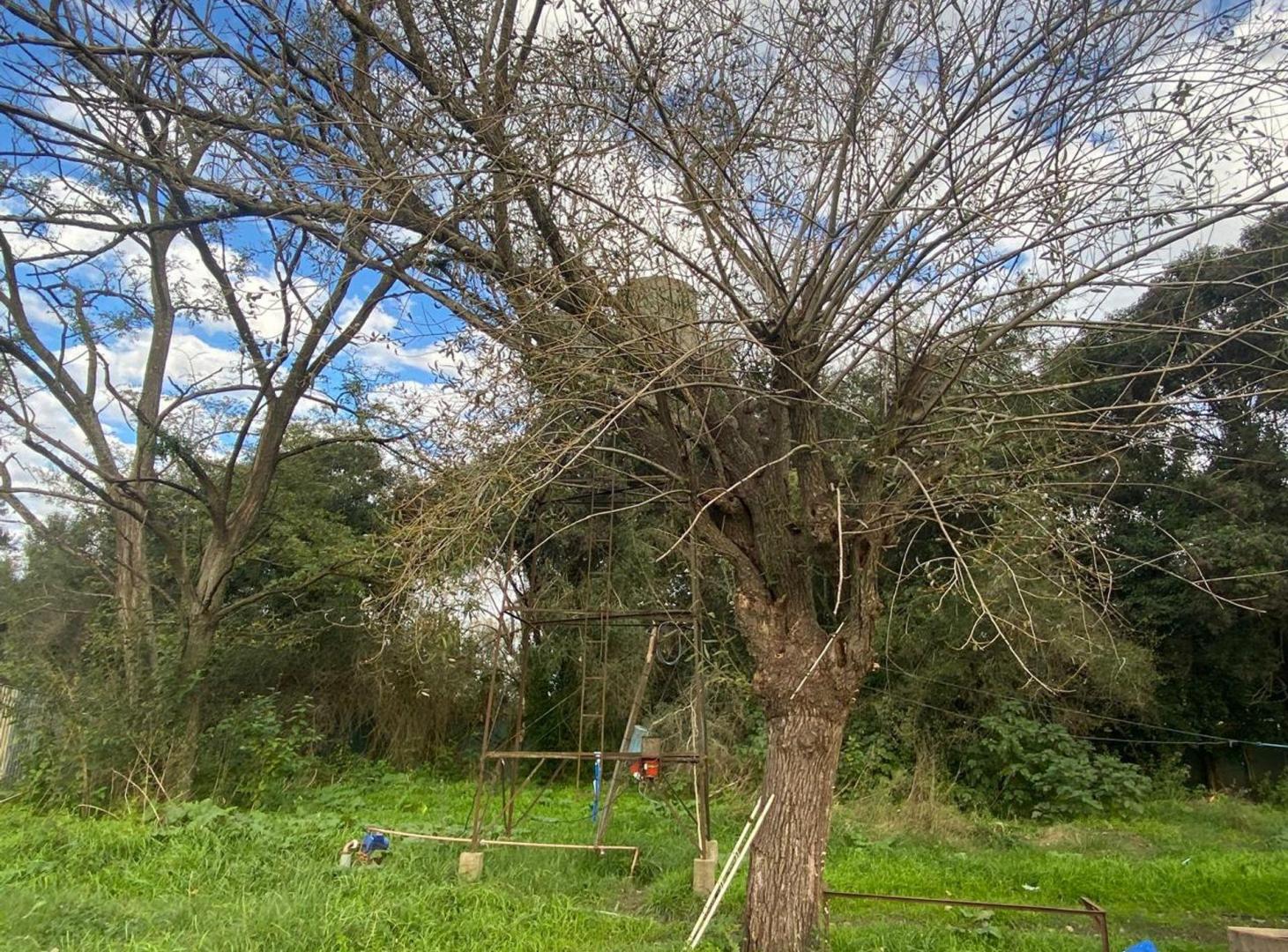 Foto de CAMPO EN VENTA CORONEL BRANDSEN, imagen 5