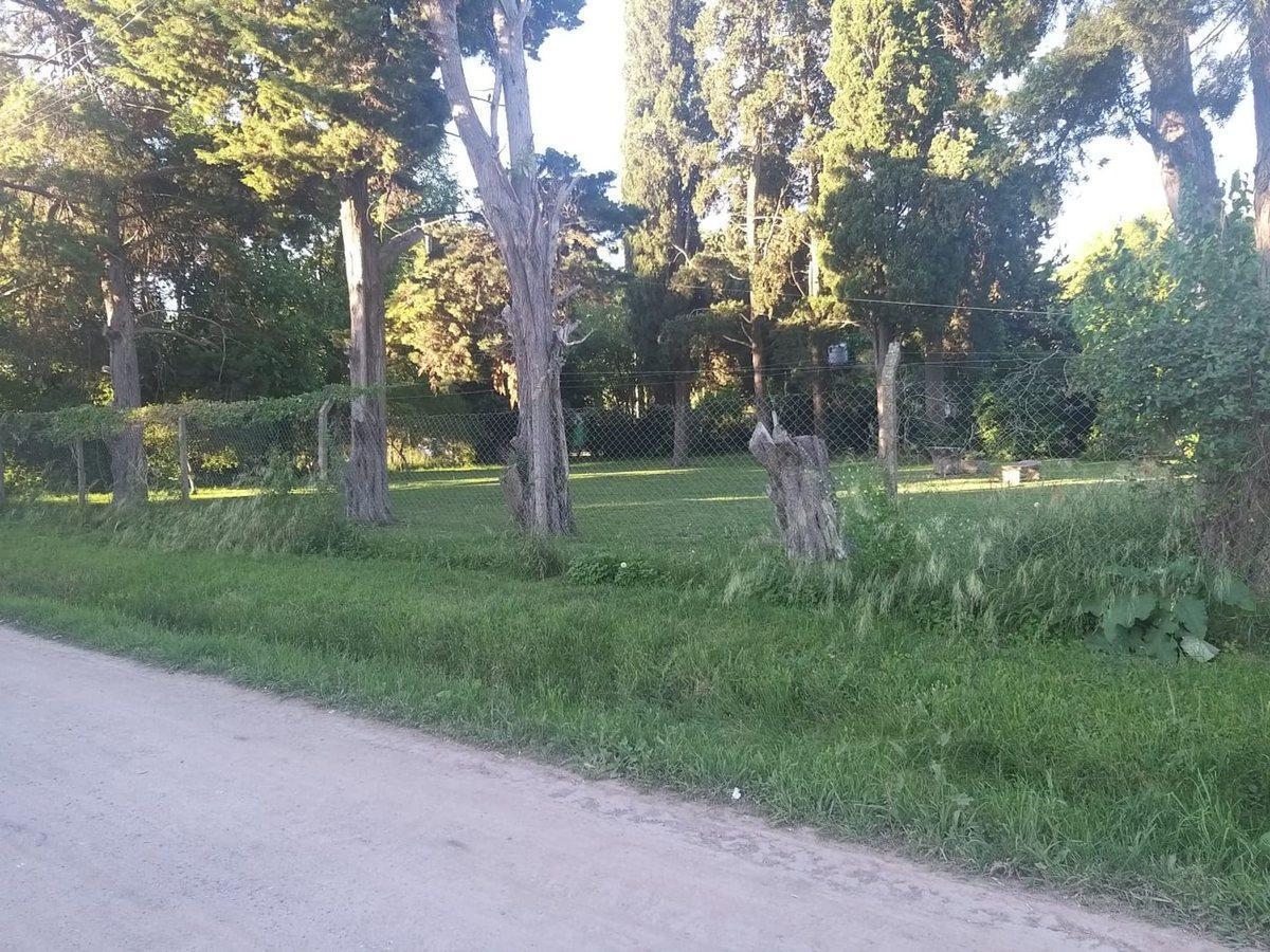 Foto de LOTE EN VENTA ARTURO SEGUI, imagen 4
