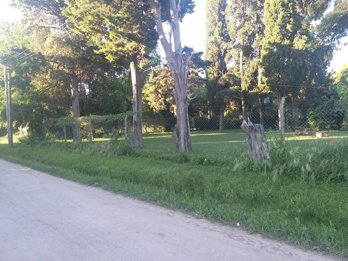 Foto de LOTE EN VENTA ARTURO SEGUI, imagen 1