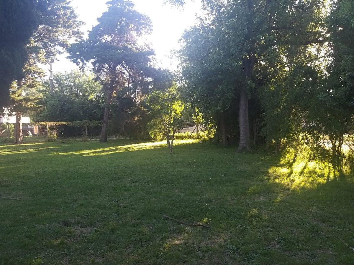 Foto de LOTE EN VENTA ARTURO SEGUI, imagen 3