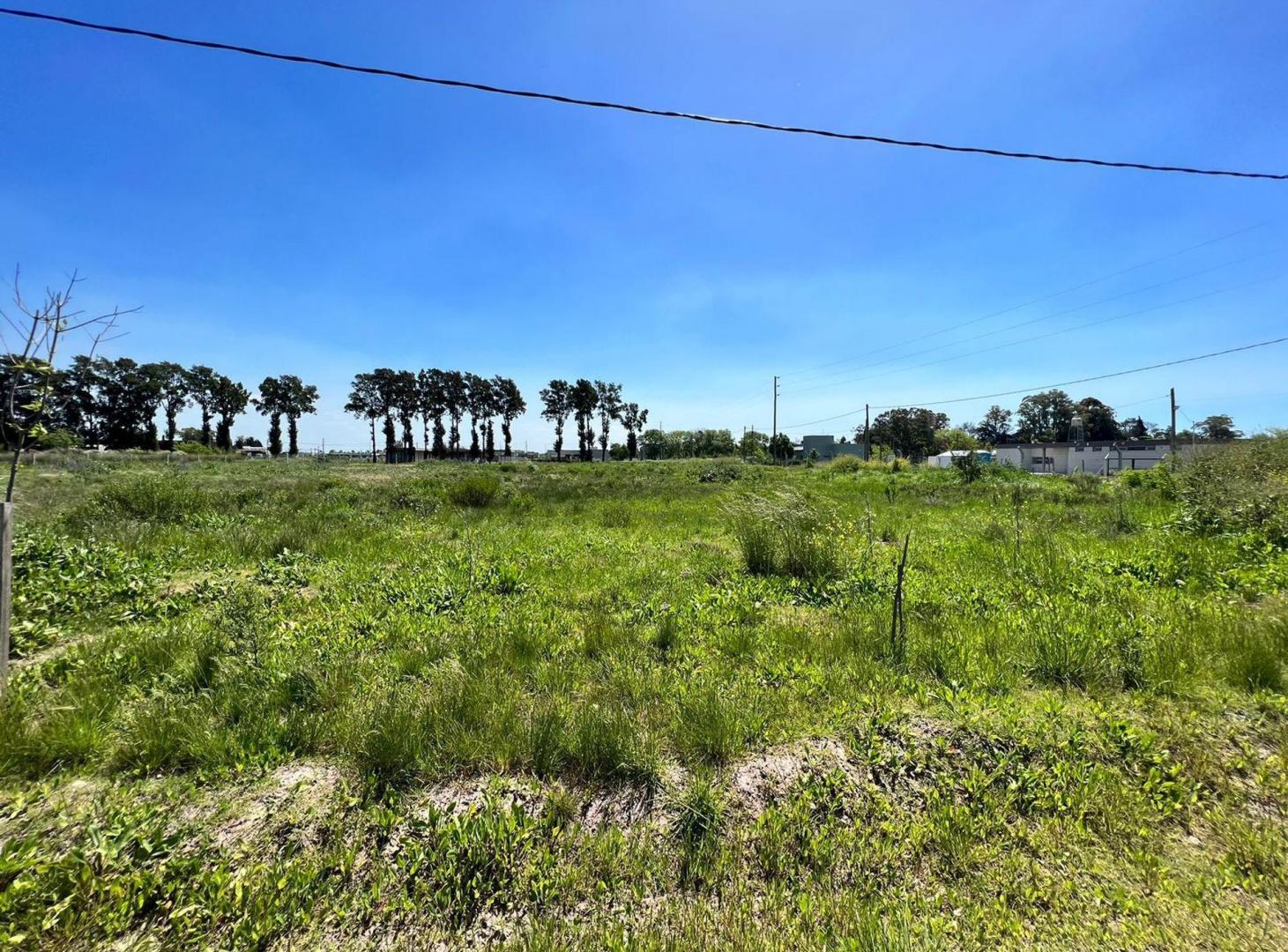 Foto de Lotes en venta en City Bell, imagen 1
