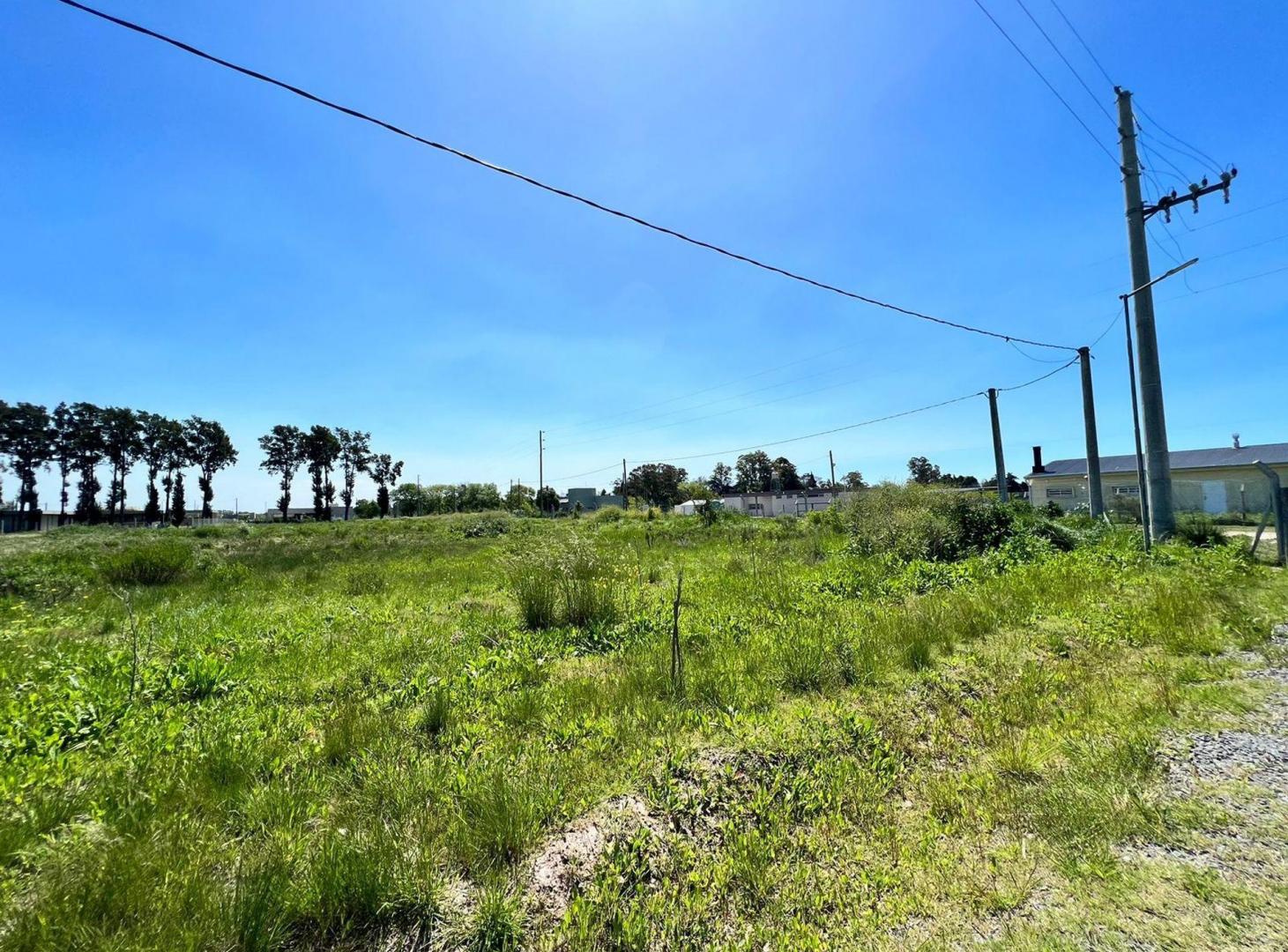Foto de Lotes en venta en City Bell, imagen 2
