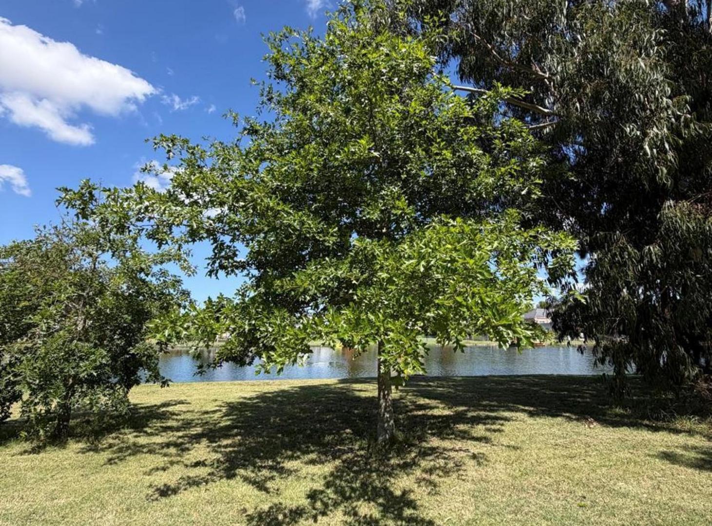 Foto de LOTE EN VENTA EN MIRALAGOS, imagen 5