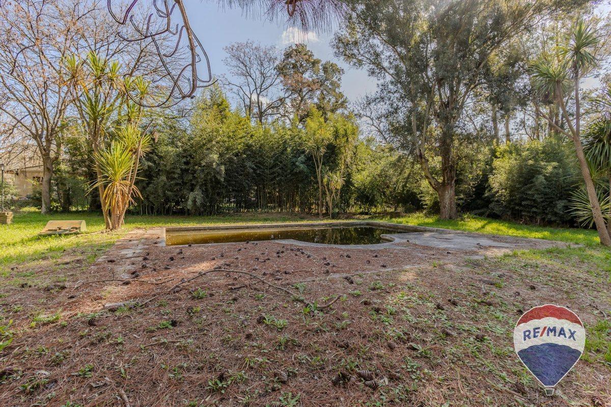 Foto de Venta de lote en Villa Elisa, imagen 2