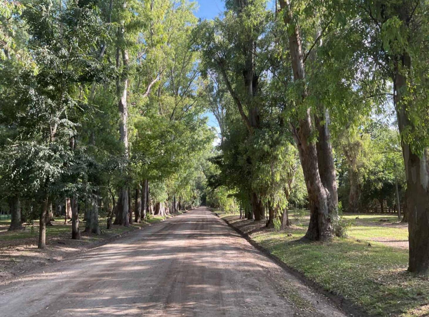 Foto de VENTA LOTE CAMPOS DE ROCA I CENTRAL, imagen 3