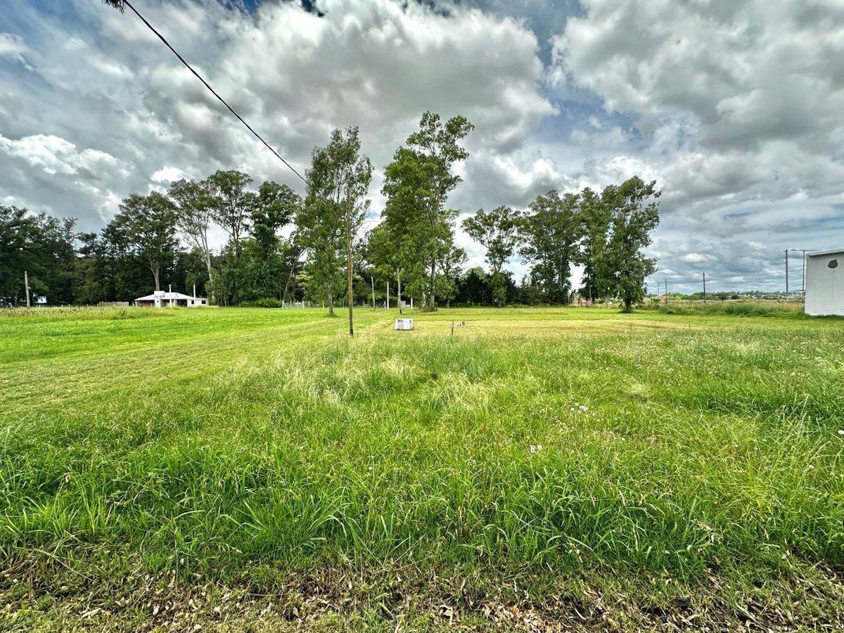 Foto de LOTE EN VENTA La Plata barrio La Elvira, imagen 5