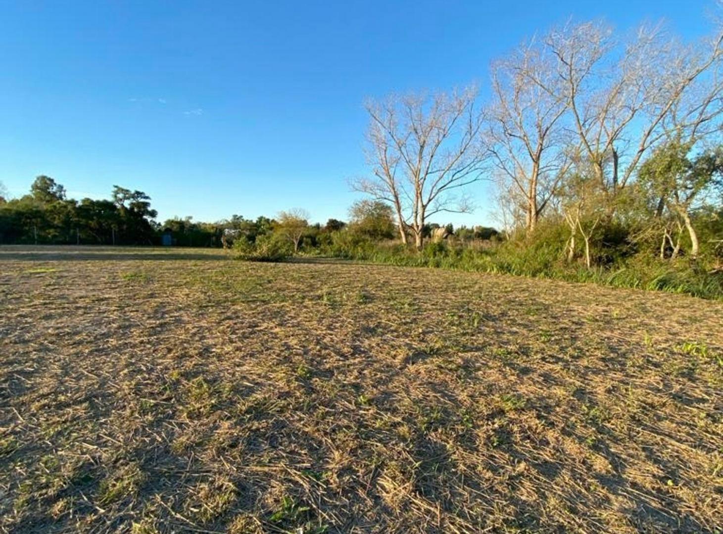 Foto de Lote en venta en Altos de Los Talas, Berisso, imagen 4