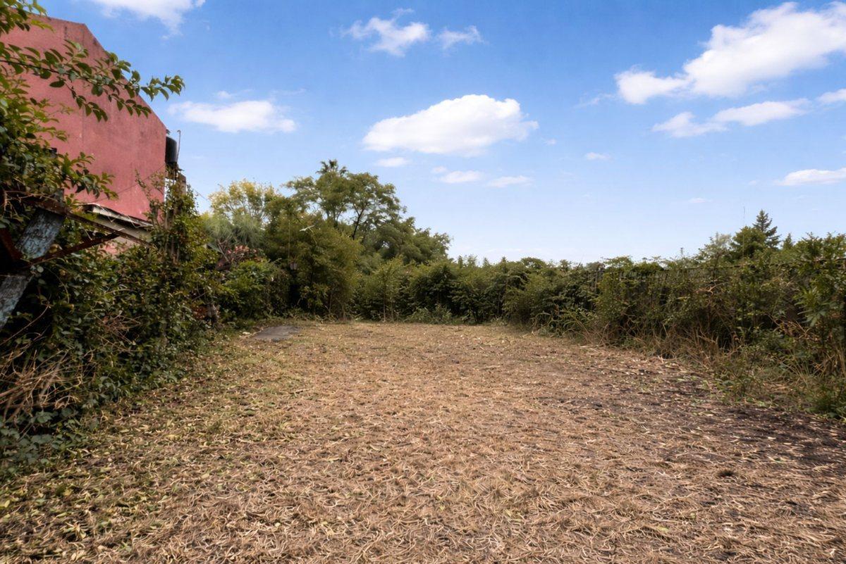 Foto de terreno en venta gorina, imagen 3