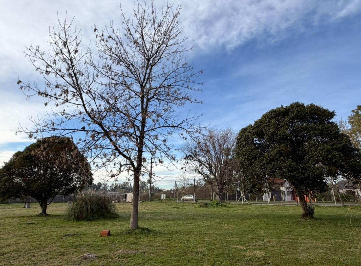 Foto de LOTE EN VENTA EN BARRIO CERRADO LAS RETAMAS CITY B, imagen 5