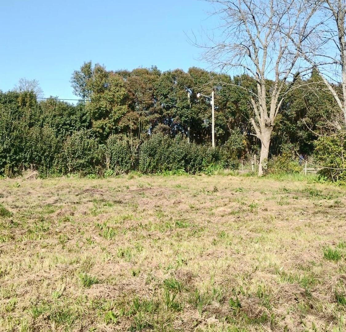 Foto de Lote a la venta en Villa Elisa, imagen 5