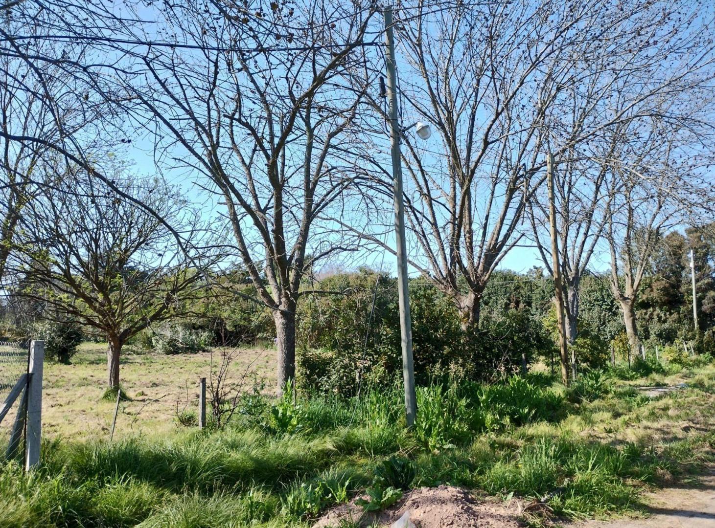 Foto de Lote a la venta en Villa Elisa, imagen 2